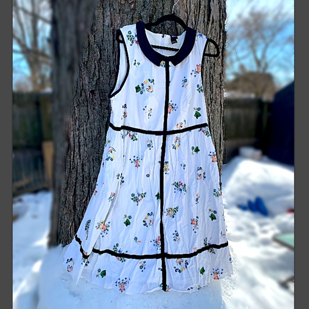 Disney Alice In Wonderland Tea Dress